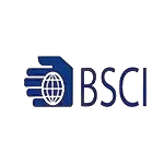 icon ng bsci