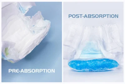 Baby diaper na may puting padding na may label na Pre-Absorption at asul na gel para sa Post-Absorption.