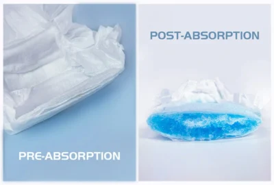 Baby diaper na may puting padding na may label na Pre-Absorption at asul na gel para sa Post-Absorption.