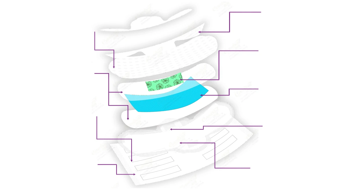 Layered anatomical display ng mga sanitary napkin