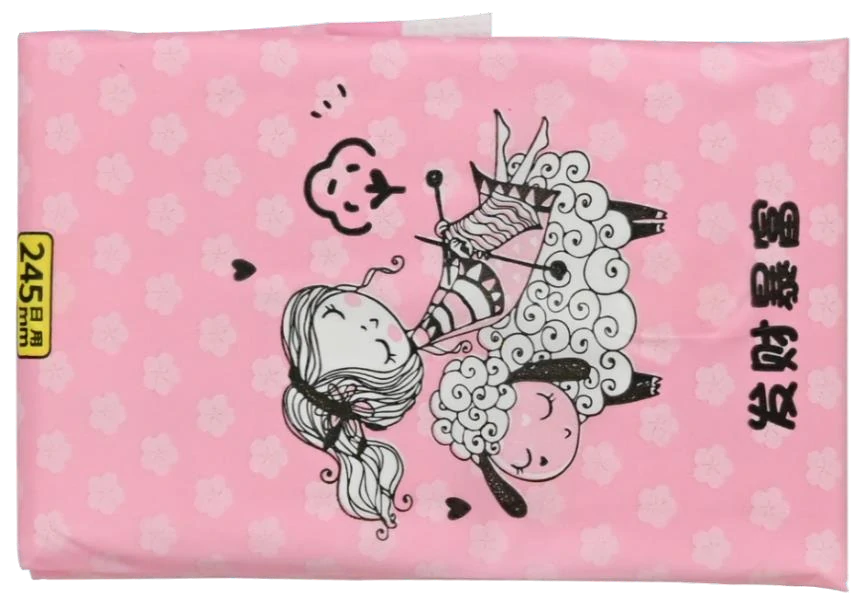 sanitary napkin Pocket bag